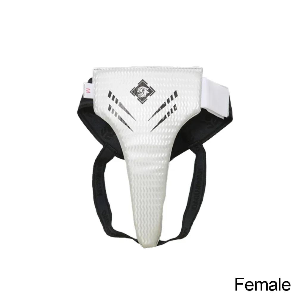 Equipamento de Taekwondo Masculino e Feminino, Protetor Virilha, Jockstrap, Guarda Roupa Interior, Karatê, MMA, Boxe, Sanda, Exercício, Equipamento de Artes Marciais - Image 1