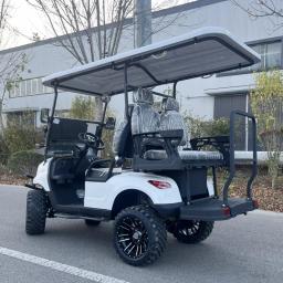 2/4/6/8 assentos caça carrinho de golfe rua legal elétrico fora da estrada carrinhos de golfe carro buggy scooter de golfe gocart - Image 3