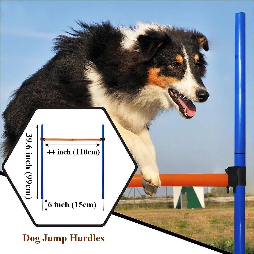 Agility Training Equipment Kit para Cães Túnel Pólos, Obstáculos Exercício Curso, Obstáculo, Training Starter Set para Pet - Image 1