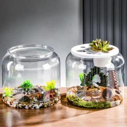 Tanque de Tartaruga Transparente com Tampa, Aquário com Tampa, Super Grande Capacidade, Peixe e Tartaruga, Suprimentos - Image 6