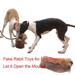 Cão de caça mordendo brinquedos, Simulação Coelho, Interactive Dog Sound Toy para Whippet, Gree, Greyhound, Hound Training Tools, Pet Supply - Image 5
