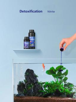 Solução azul metileno Peixes ornamentais para aquário, remoção de manchas brancas e doença dos peixes, remover parasitas - Image 2