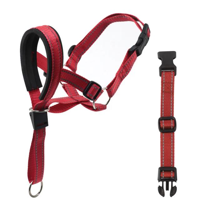 Focinho anti-mordida com alça de segurança para cães, ideal para controle e conforto durante passeios.