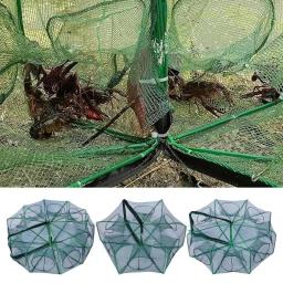 Rede de pesca dobrável para peixes pequenos, armadilha de peixes portátil e multifuncional, captura de camarão e lagostins - Image 1