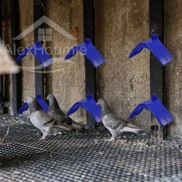 Lightweight Plastic Dove Rest Stand, Poleiros Pombo, Birds Rest Holder, Pombos Dwelling Frame para Papagaios e Outras Aves, 20 pcs - Image 4