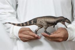 PNSO-Mila the Mapusaurus Model for Kids, Animal Pré-Histórico, Colecionador de Dinossauros Carcharodontosaurus, Decoração Realística, Brinquedo Educativo, 68 - Image 2