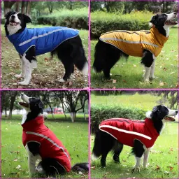 CDDMPET-Casaco impermeável para cães grandes, roupas quentes para animais de estimação, casaco para cães grandes, buldogue francês, traje Pug, Labrador, inverno - Image 3