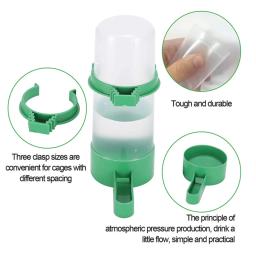 Pássaro do animal de estimação bebedor alimentador colher de alimentos suprimentos pássaro papagaio periquito copos de água automática para animais de estimação papagaio gaiola - Image 4