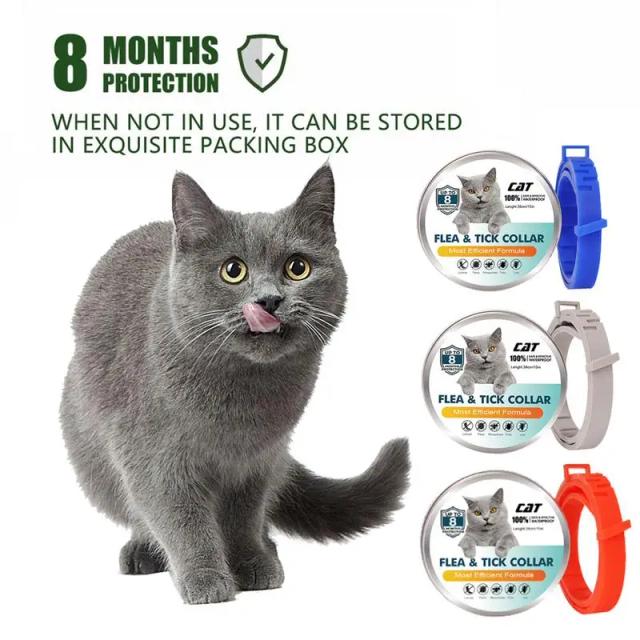 Colar Antipulgas Ajustável para Gatos e Cachorros - Proteção Eficaz Contra Carrapatos e Piolhos