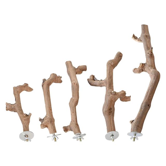 Ventosa de Madeira para Poleiro: Suporte Ideal para Beija-Flores e Papagaios em Viagens e Gaiolas