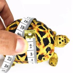 Arnês do animal de estimação tartaruga hamster lagarto arnês trela com asas conjunto ajustável treinamento ao ar livre alça macia réptil coleira accessorie - Image 6