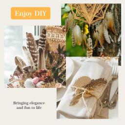Natural manchado Turquia penas para artesanato, feisão penas, DIY chapéu arranjos florais asa, casamento pena, 4 estilos, 40pcs - Image 5