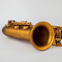 Alto Eb Tune Saxofone com Boquilha Case, Instrumento Musical, Champagne Gold Lacquer, Latão, New Arrival, Frete Grátis - Image 4