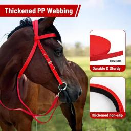 Guia de cavalo ajustável lanffle noseband náilon equino noseband rédeas para mulheres homens macio forrado trilha equitação suprimentos equestres - Image 2