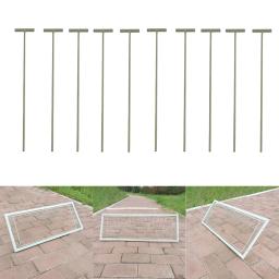 Armadilhas T removíveis para Pigeon Birds Entrance, única agulha Birdcage, 10pcs - Image 4