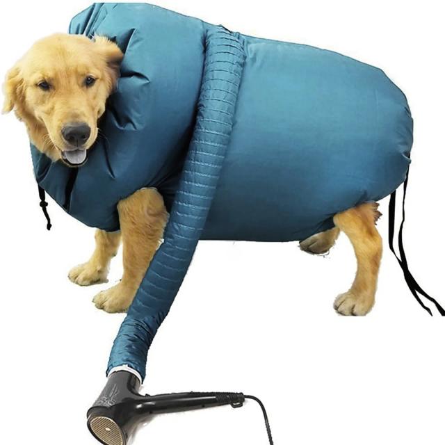 Secador Profissional Portátil para Cães e Gatos: Rápido, Silencioso e Eficiente para Banhos e Secagem de Pelagem