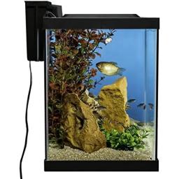 Mini Kit Tanque de Peixes com Iluminação LED e Decoração Fishbowl, 20 Galões, Pequeno, Aquário, Aquários, Pet Acessórios - Image 4