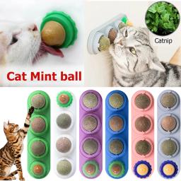 Natural segurança animal de estimação catnip brinquedos para gato bola de hortelã saudável matatabi limpeza dentes vara molar gato nip lollipop catmint suprimentos - Image 1
