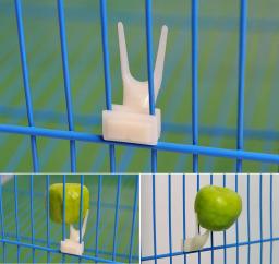 Suporte de alimento plástico para papagaios, frutas garfos, alimentação de gaiola, alimentador de pássaros, pet bird suprimentos, 4pcs - Image 3