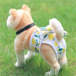 Calças Menstruais Fisiológicas Para Animais De Estimação, Calcinha Princesa, Fralda De Cachorro, Pano Respirável, Elasticidade, Higiene De Segurança - Image 2