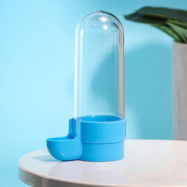 Distribuidor Automático de Água e Comida para Pássaros com Design Anti-Respingo e Tigelas para Papagaios e Pombos