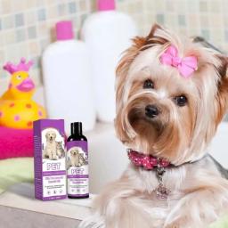 Calmante cão Shampoo cabelo macio Shampoo, hidratante ShampooProfessional Pet Natural Plant Shampoo, Pet Grooming Suprimentos - Image 5