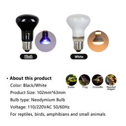 Lâmpadas para Répteis com Controlador de Temperatura, Lâmpadas UVA, Aquecedor de Tartarugas, Anfíbios, Lagartos, Pet, 220V, 75W - Image 2