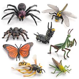 Figurinhas em miniatura de insetos, Animal Set, Modelo didático, Aranha, Borboleta, Biologia, Brinquedos Educativos, Ornamento de Paisagem - Image 3