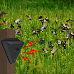 Outdoor Solar Animal Repeller, alarme de segurança, dirigir, animais selvagens, proteção de segurança, Garden Farm - Image 5