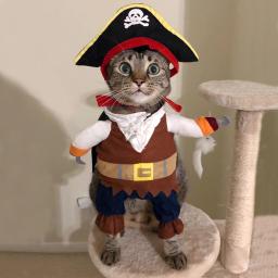 Terno pirata caribenho para gatos, Traje de Halloween, Roupas engraçadas de gato, Cosplay de cachorro, Vestuário de festa, Roupas de gatinho - Image 4