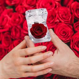 Flor Eterna Preservada com Caixa, Eterna Rosa, Presente para Dia dos Namorados, Aniversário e Aniversário, 1pc - Image 2