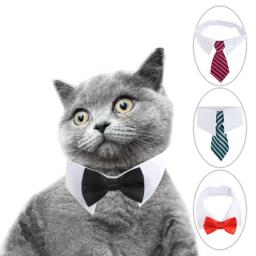 Nova coleira gravata cachorro para gato gravata borboleta formal para cães smoking gatos roupas smoking - Image 1