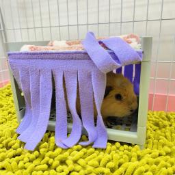 Suave confortável Hide House Bed Tassel porta cortina, lavável pequenos animais, gaiola de hamster, acessórios para cobaia, Pet Supplies - Image 3