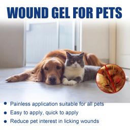 Uso externo Stop Bleeding Gel, Gelr Hemostático Pet, Gel Cura de Ferido, Rolha de Sangue de Unha de Cão, 20ml - Image 4