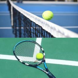 3 pçs de alta elasticidade tênis profissional treinamento bola jogo ao ar livre cães mordida perseguição e chomp 63mm bola tênis raquete - Image 6