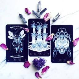 Wayward Dark Tarot Card Games, Totalmente Ilustrado, Tamanho Padrão, 78 Pcs Cards, 12x7cm - Image 6