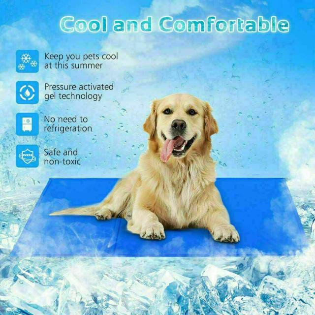 Colchão Gelado para Pets: Almofada de Refrigeração para Cães e Gatos em Dias Quentes
