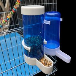Drinautomático para pássaros, alimentador azul para pássaros, gaiola para papagaio, ferramenta de alimentação, bowls e drin, 1 unidade - Image 5