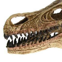 MGT-High Precision Ensino Modelo Dinossauro, Velociraptor Fóssil, Resina Crânio, Estátua Esqueleto - Image 6