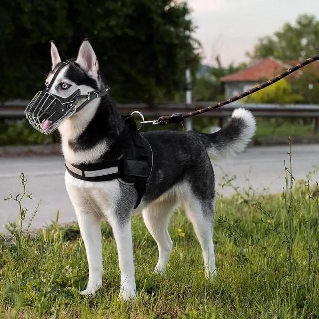 Focinho Ajustável em Malha para Cães Grandes com Cesta de Metal Respirável