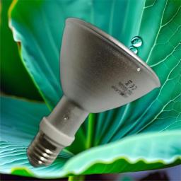 A lâmpada de iodetos metálicos UVB para répteis cresce e planta, 35W, 50W, 70W, 150W - Image 1