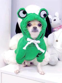 Camisola de rã fofa para cães pequenos e médios, capuz verde com design divertido, mantenha seu cachorro aconchegante e elegante, 1pc - Image 1