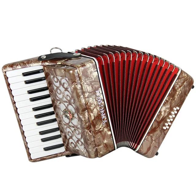 Papagaio Acordeão Piano Diatônico para Iniciantes com 25 Teclas e 12 Baixos - Ideal para Performances Musicais 