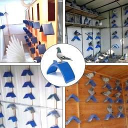 Suporte plástico Quadro para Pomba Pomba, Pássaro Poleiro, Suporte para Suprimentos de Pássaro, Pomba Azul Poleiros, Poleiro para Papagaios, 1Pc, 10Pcs - Image 1
