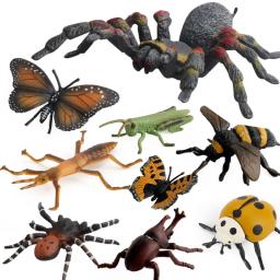 Figurinhas em miniatura de insetos, Animal Set, Modelo didático, Aranha, Borboleta, Biologia, Brinquedos Educativos, Ornamento de Paisagem - Image 5