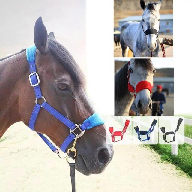 Halter de Cavalo Ajustável em Nylon e Liga