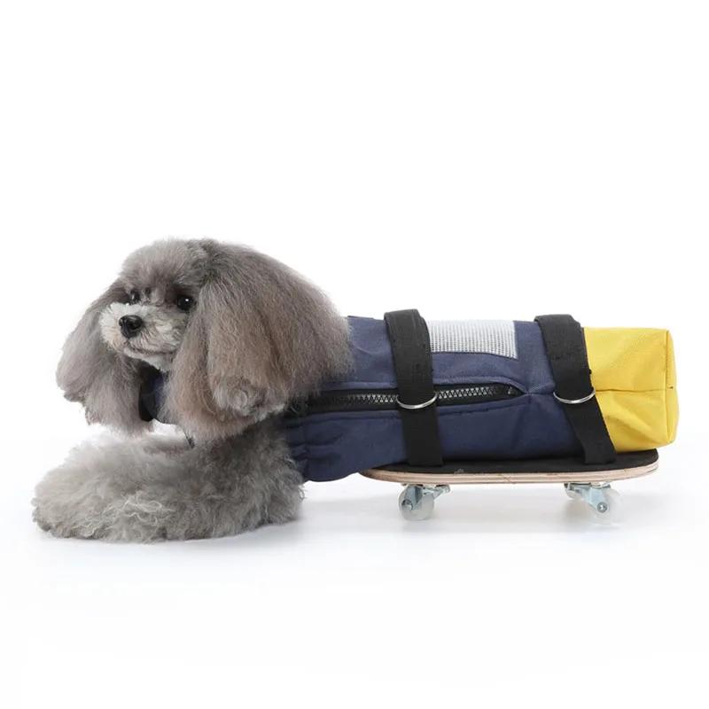 Cadeira de rodas leve para cães idosos com deficiência Scooter de carro assistido, suporte de pernas ajustáveis, carrinho de reabilitação - Image 1