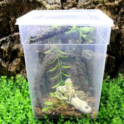 Reptile Feeding Box for Frog Spider e Gecko, Turtle Tank, Tarantula Enclosure, Lizard Container, Animais, Terrário, Container - Image 3