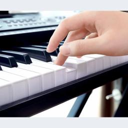 Piano eletrônico multifuncional portátil para adultos, teclado pequeno, sintetizadores profissionais, instrumentos musicais - Image 2