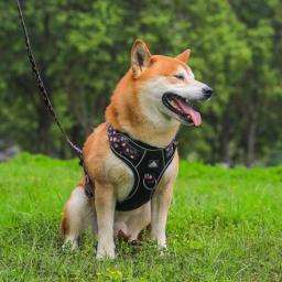 Colete reflexivo de tração para cães, arnês ajustável, alças de segurança respirável, pet fornecimentos, sutiã ambulante, pequeno, médio, grande - Image 3
